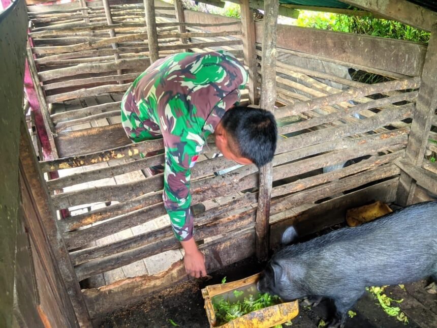 Go Teropong Rakyat