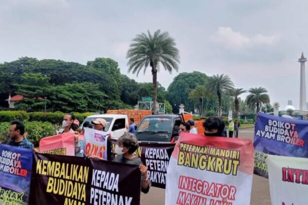 Go Teropong Rakyat