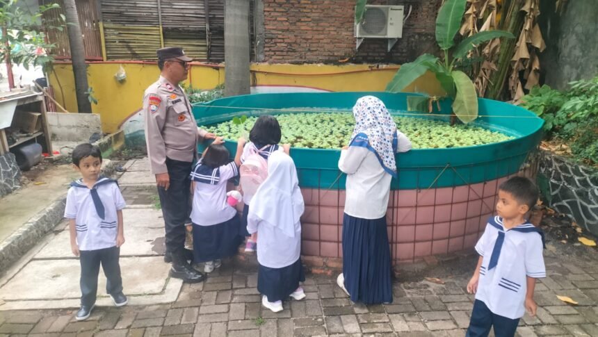 Go.TeropongRakyat.co