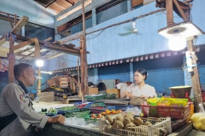 Go.TeropongRakyat.co