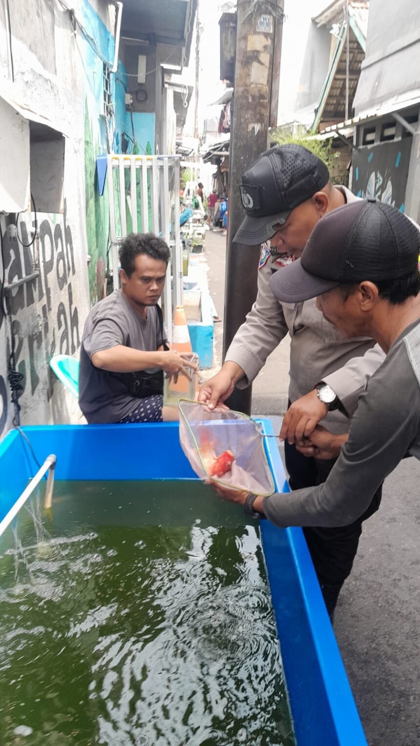 Go.TeropongRakyat.co