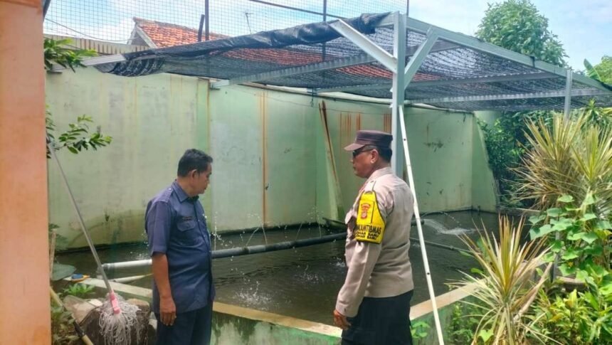 Go Teropong Rakyat