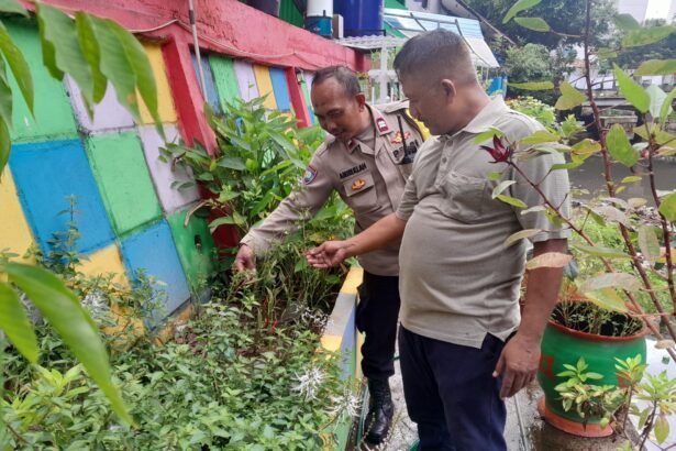 Go Teropong Rakyat