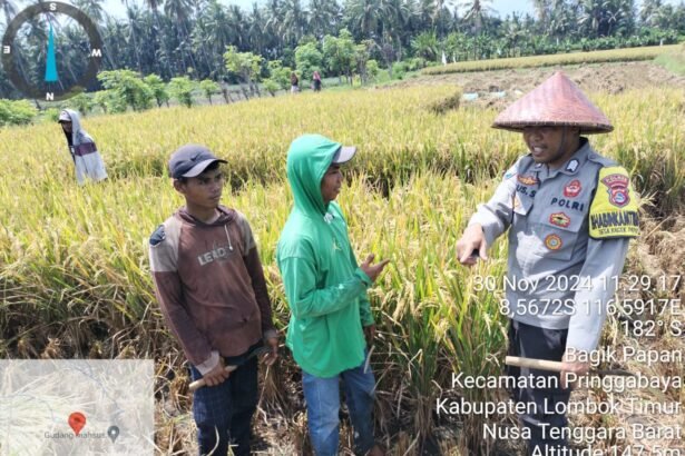 Go.TeropongRakyat.co