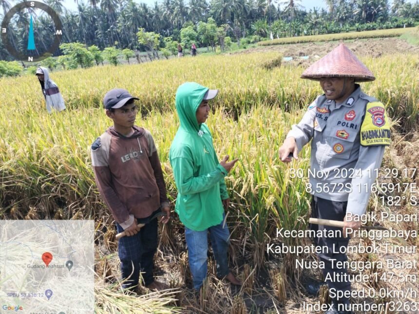 Go.TeropongRakyat.co