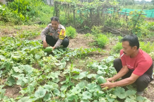 Go Teropong Rakyat