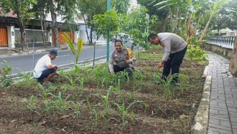 Go Teropong Rakyat