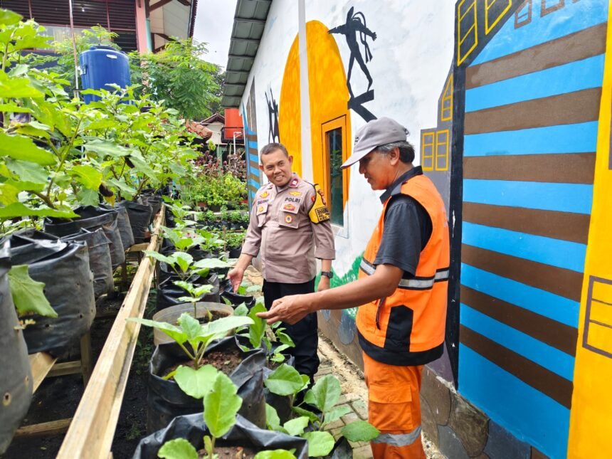 Go Teropong Rakyat