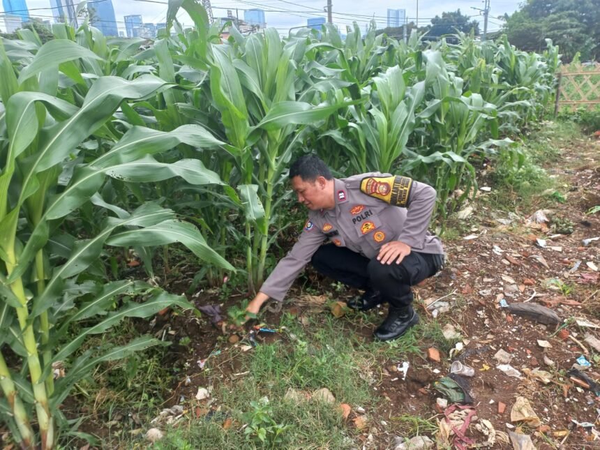 Go.TeropongRakyat.co