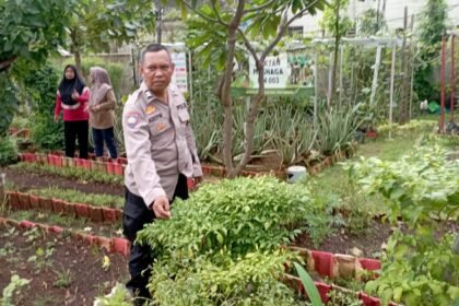 Go Teropong Rakyat