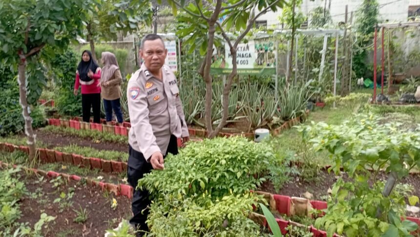 Go Teropong Rakyat