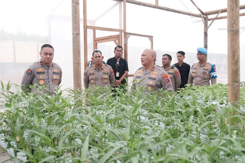 Go Teropong Rakyat