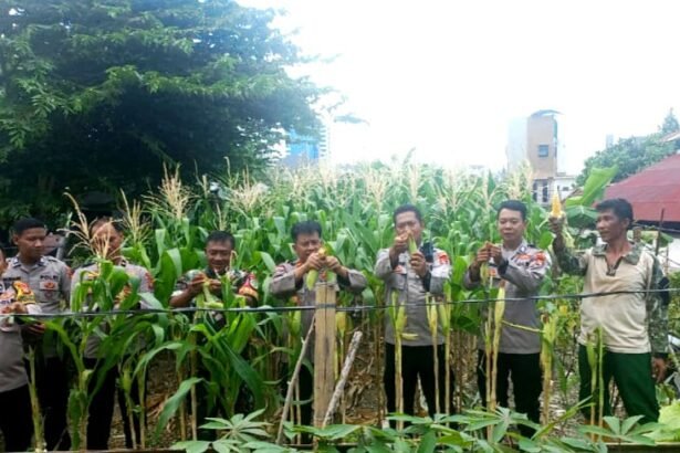 Go.TeropongRakyat.co