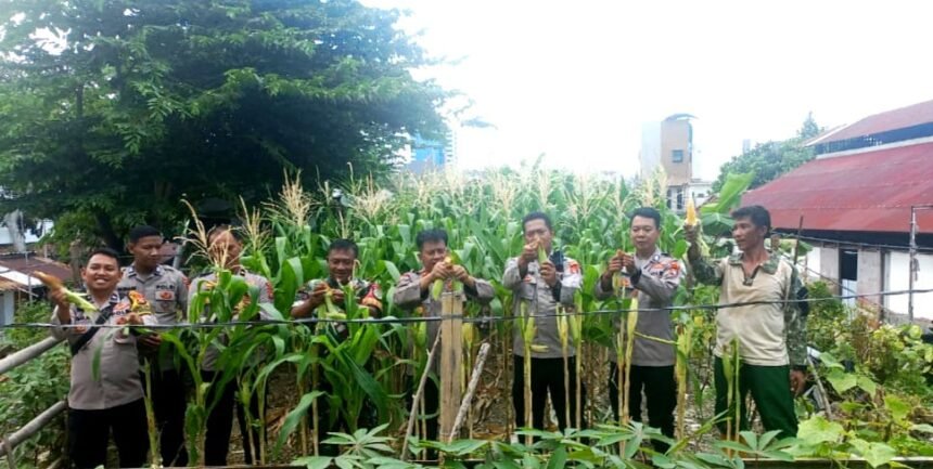 Go.TeropongRakyat.co