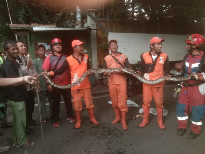 Go Teropong Rakyat