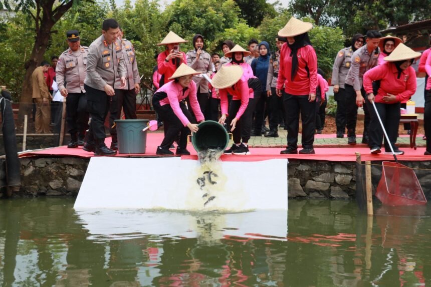 Go Teropong Rakyat