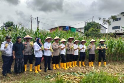 Go.TeropongRakyat.co
