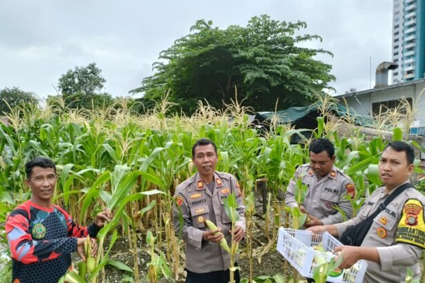 Go Teropong Rakyat