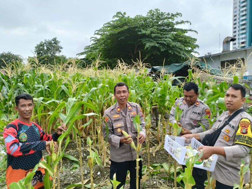 Go Teropong Rakyat