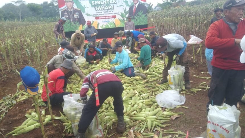 Go Teropong Rakyat