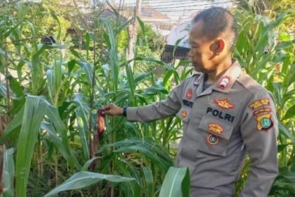 Go Teropong Rakyat