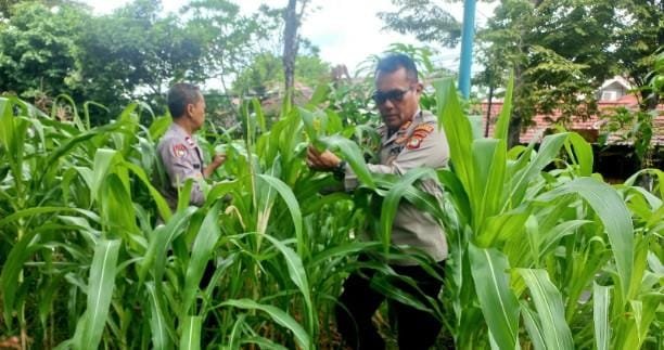 Go Teropong Rakyat