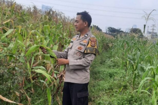 Go Teropong Rakyat