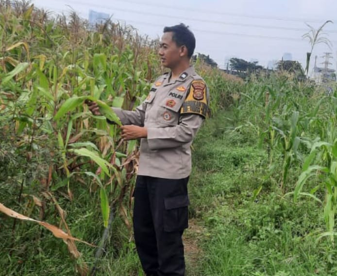Go Teropong Rakyat