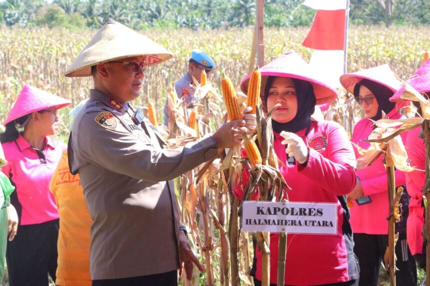 Go.TeropongRakyat.co