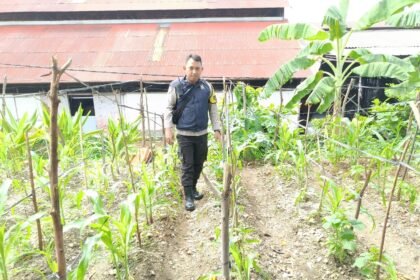 Go.TeropongRakyat.co