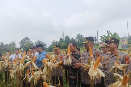 Go.TeropongRakyat.co