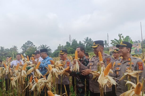Go Teropong Rakyat