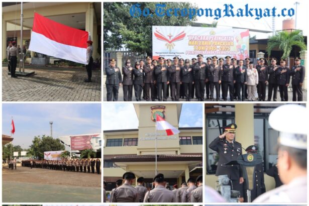 Go Teropong Rakyat