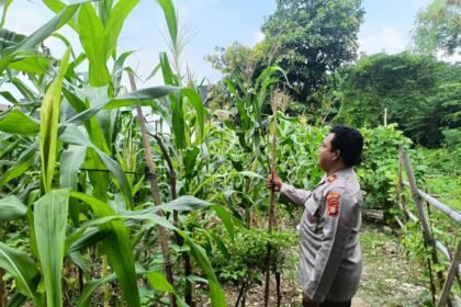 Go.TeropongRakyat.co