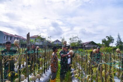 Go.TeropongRakyat.co