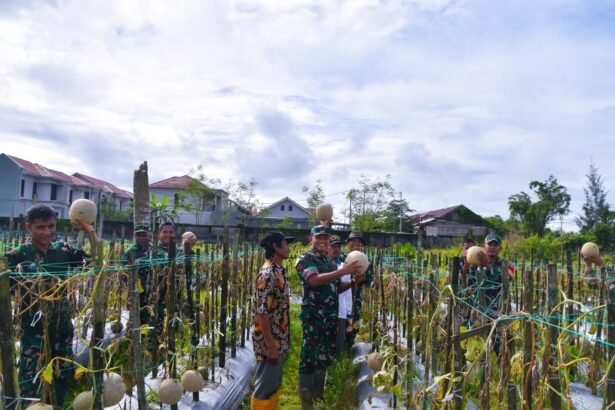 Go.TeropongRakyat.co