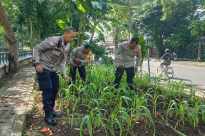 Go.TeropongRakyat.co