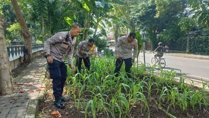 Go.TeropongRakyat.co