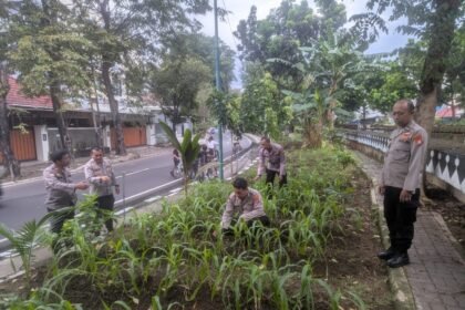 Go.TeropongRakyat.co