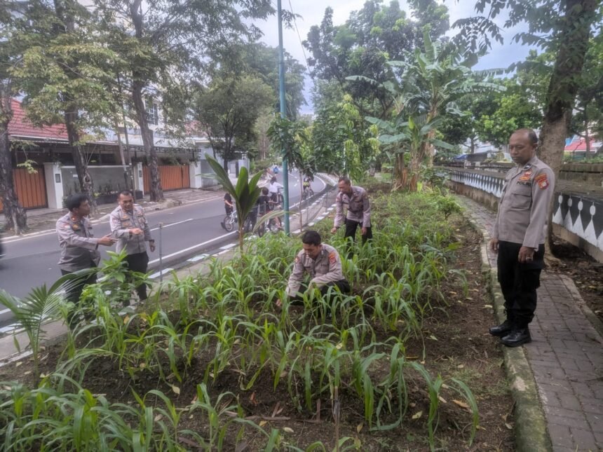 Go.TeropongRakyat.co