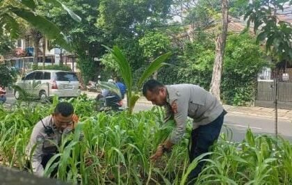 Go Teropong Rakyat