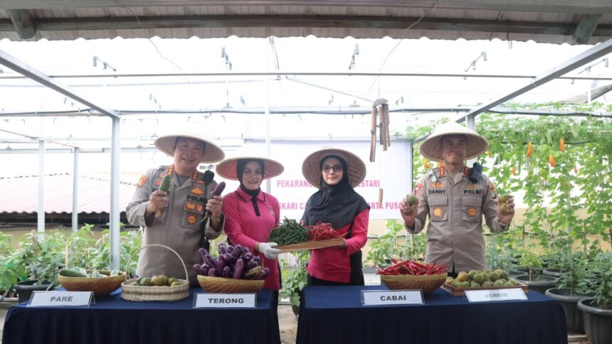 Go Teropong Rakyat