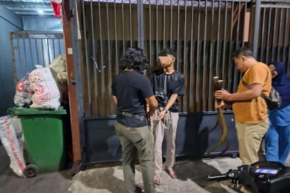 Go Teropong Rakyat