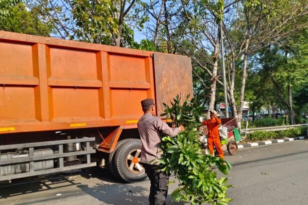 Go Teropong Rakyat