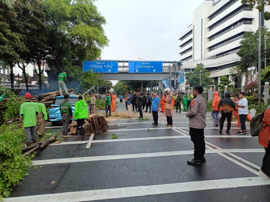 Go Teropong Rakyat