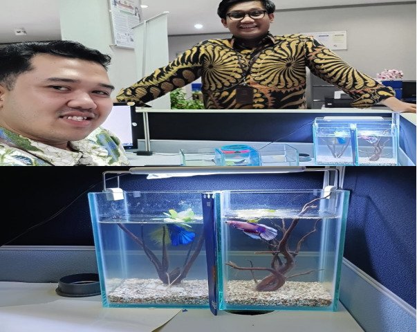 Go Teropong Rakyat