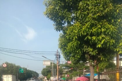 Go Teropong Rakyat