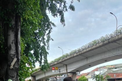 Go Teropong Rakyat