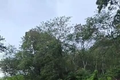 Go Teropong Rakyat