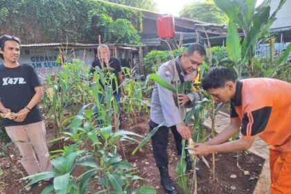 Go Teropong Rakyat